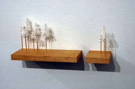 白い壁に作り付けられた木のディスプレイ棚
